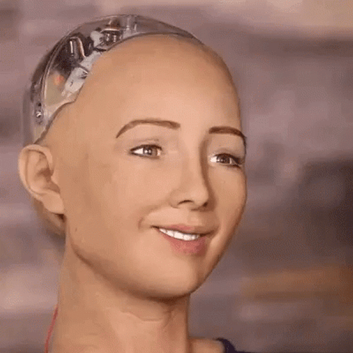AI Sophia What The Hell Face GIF