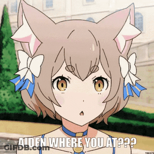 Aiden Rgv GIF
