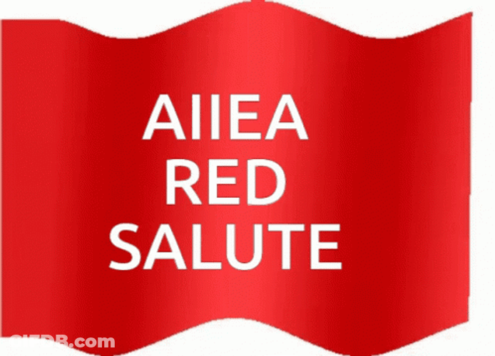 Aiiea Red Flag Salute GIF