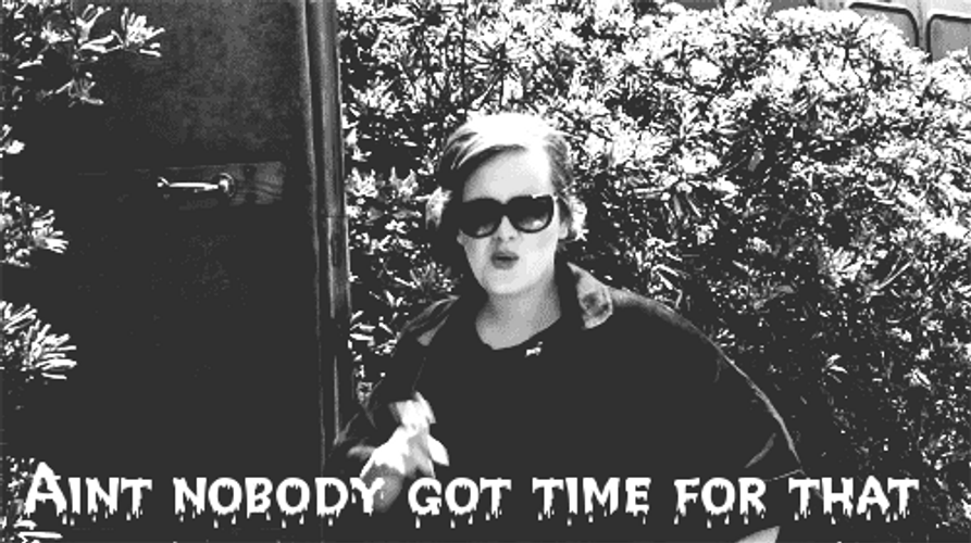 Ain't Nobody Got Time For That Adele Carefree GIF