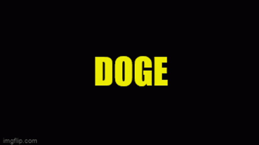 Ain't Nobody Got Time For That Doge GIF