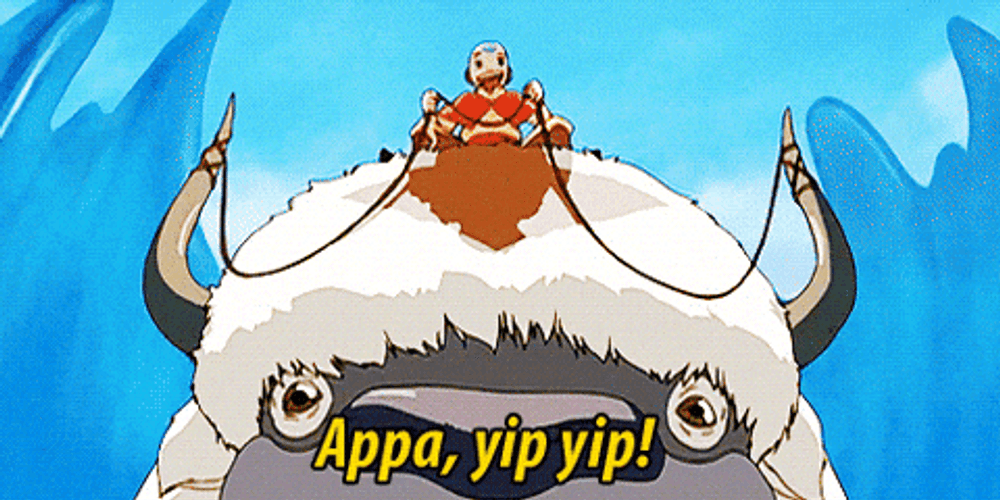 Air Bison Legend Of Aang GIF