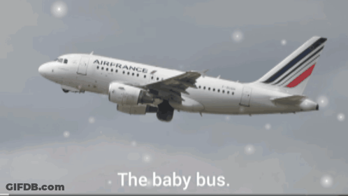 Air France Airplane Flying GIF
