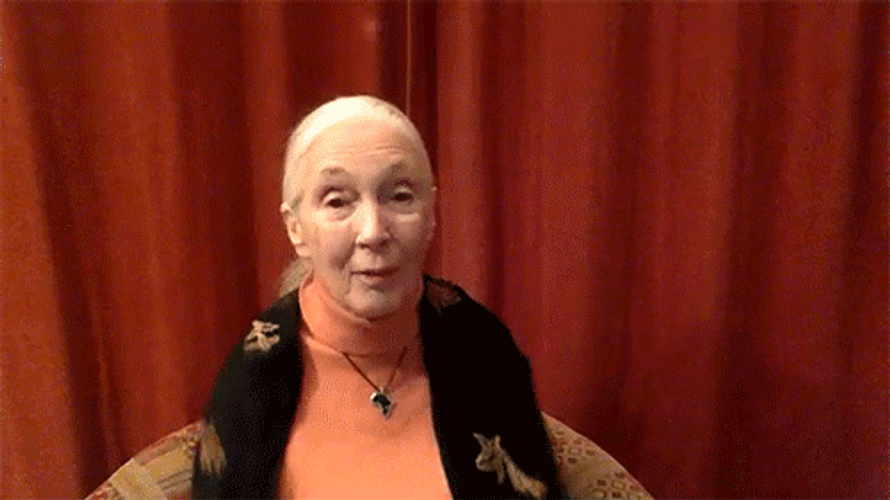 Air Hug Jimmy Fallon Hugging Grandma GIF