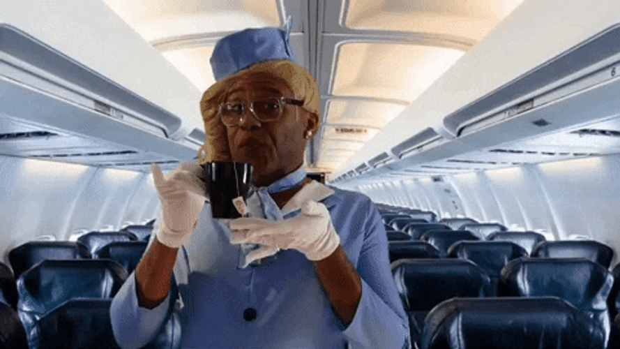 Air Plane Stewards Sipping Tea GIF