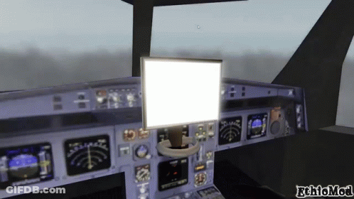 Airplane Cockpit With Ethiomod GIF