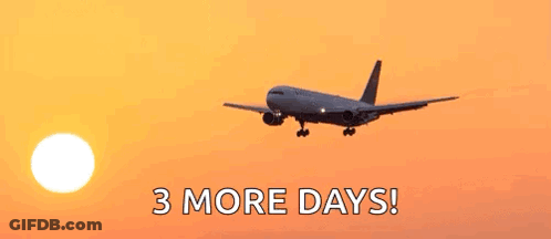 Airplane Flying At Sunset With 3 More Days GIF