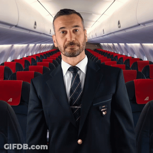 Airplane Flying Through White Circle GIF
