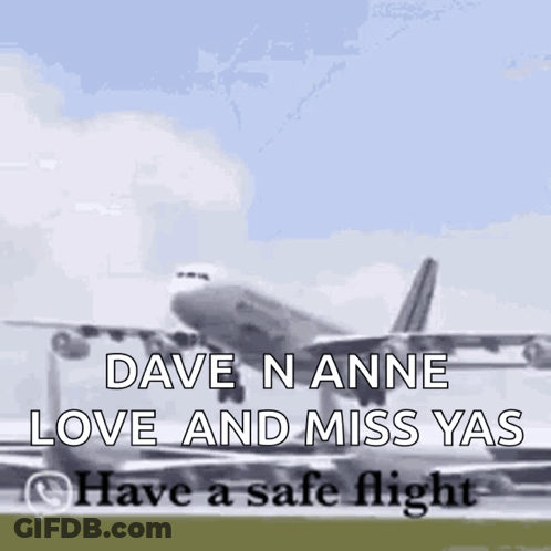 Airplane Flying With Dave Nanne Love And Miss Yas GIF