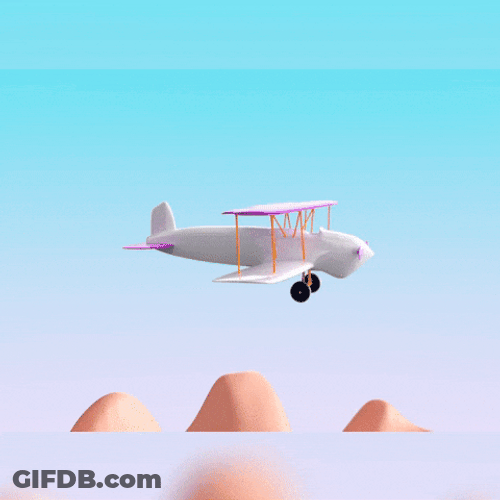 Airplane Money Flying GIF