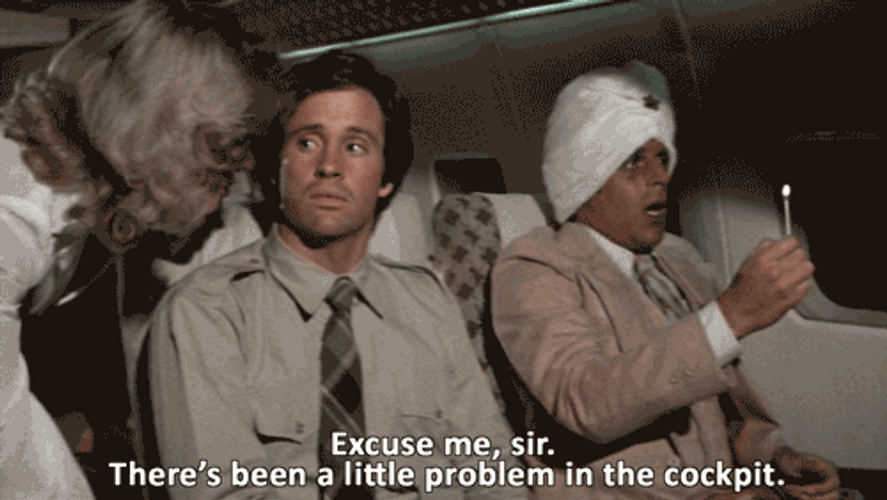 Airplane Movie Elaine Dickinson Excuse Sir GIF