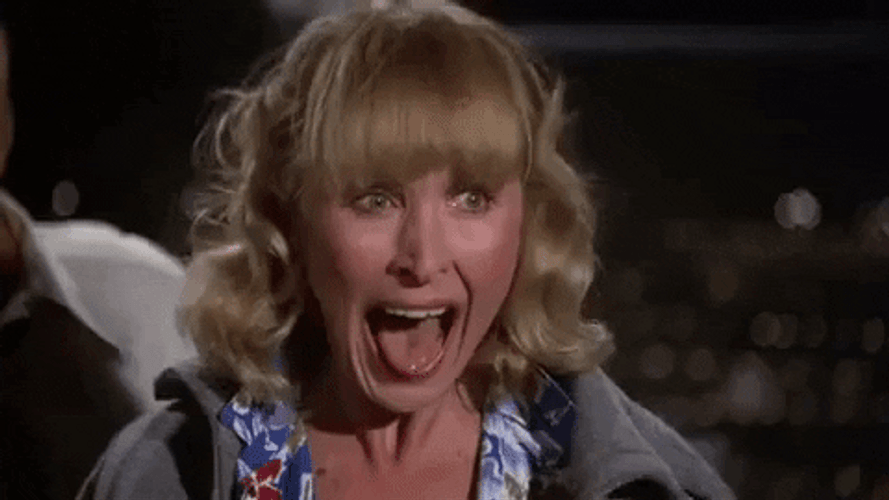 Airplane Movie Lee Terri Screaming GIF