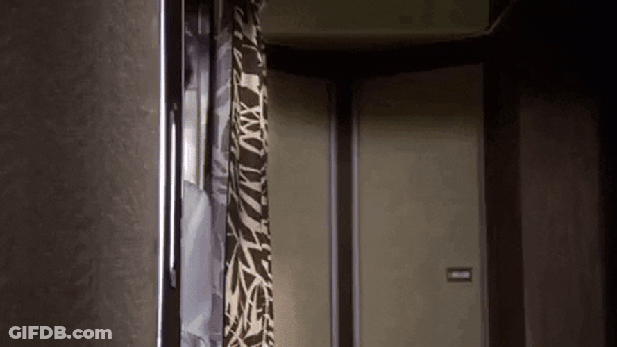 Airplane Movie Looking Julie Hagerty GIF