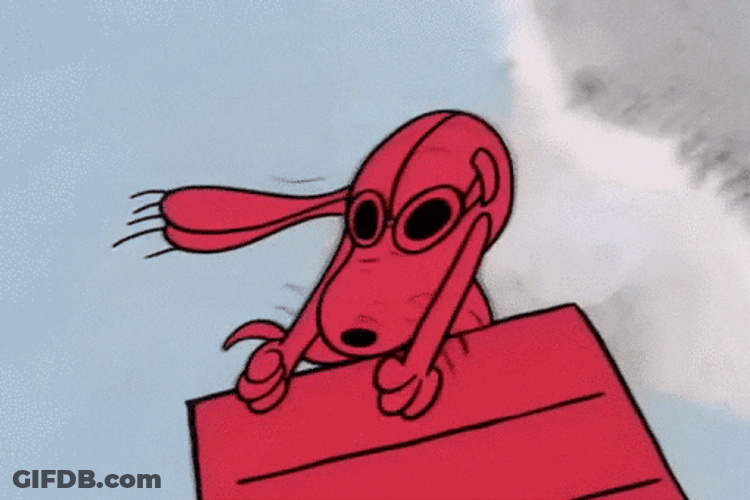 Airplane Pilot Snoopy Dance GIF