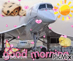 Airplane Saying Good Morning GIF