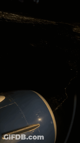 Airplane Shagarita GIF