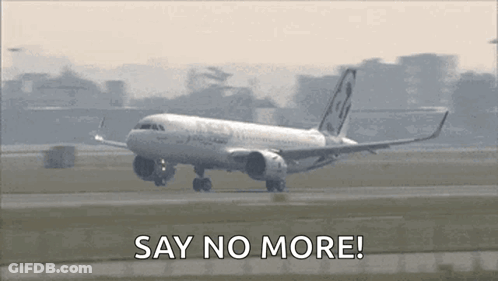 Airplane Taking Off Say No More GIF