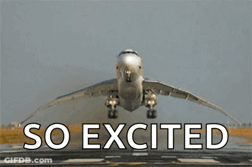 Airplane Taking Off So Excited GIF