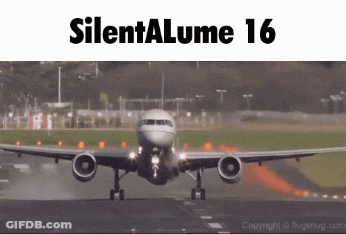 Airplane Taking Off With Silentalume 16 GIF