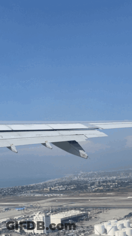 Airplane Wing With Conmigo GIF