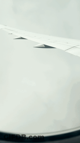 Airplane Wing With Shagarita GIF