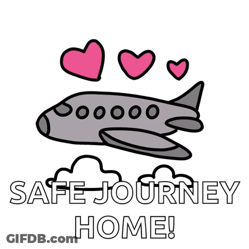 Airplane With Pink Hearts Safe Journey GIF