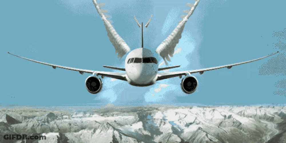 Airplane With Wings GIF