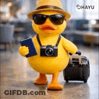 Airport 67 GIF
