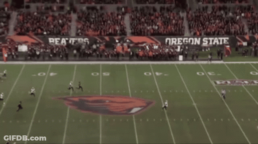 Aiyuk Brandon Keeps Running For Ball GIF