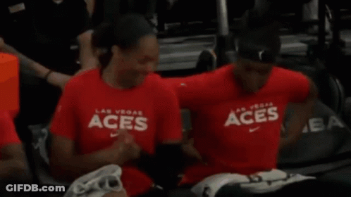 Aja Wilson Chelsea Gray GIF