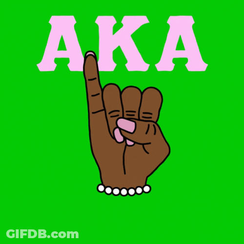 Aka Vote Wisely GIF