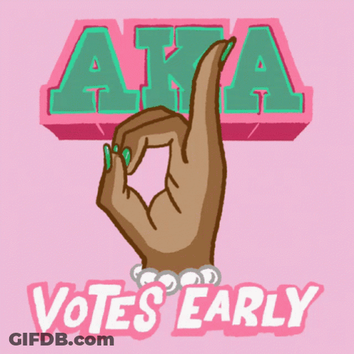 Aka Votes Early GIF