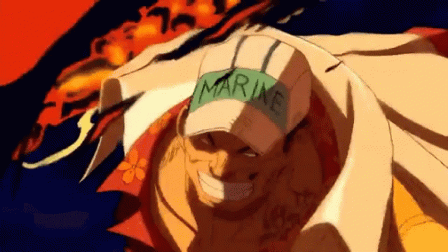 Akainu Fighting Scene GIF