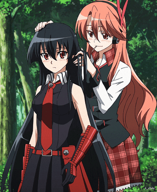 Akame Ga Kill Akame And Chelsea GIF