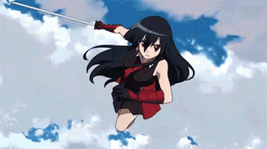 Akame Ga Kill Akame Vs. Kurome GIF