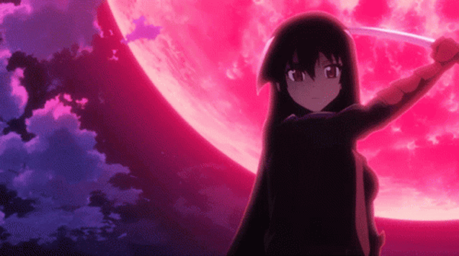 Akame Ga Kill Anime Heroine Akame GIF