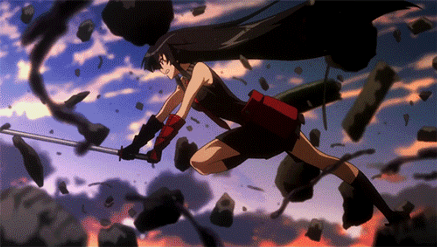 Akame Ga Kill Japanese Anime GIF