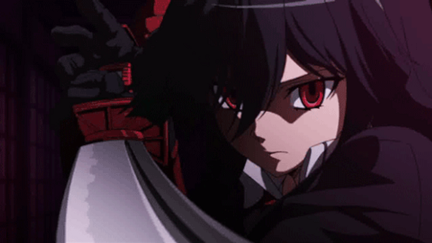 Akame Ga Kill! Main Character Akame GIF