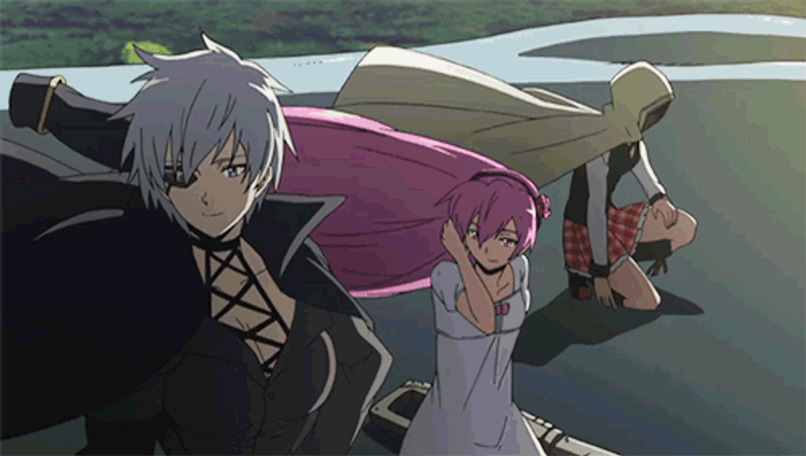 Akame Ga Kill Night Raid GIF