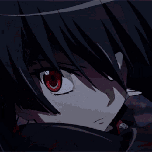 Akame Ga Kill Ruthless Assassin Akame GIF