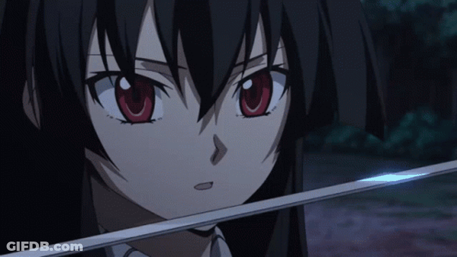 Akame Sword Reflection GIF
