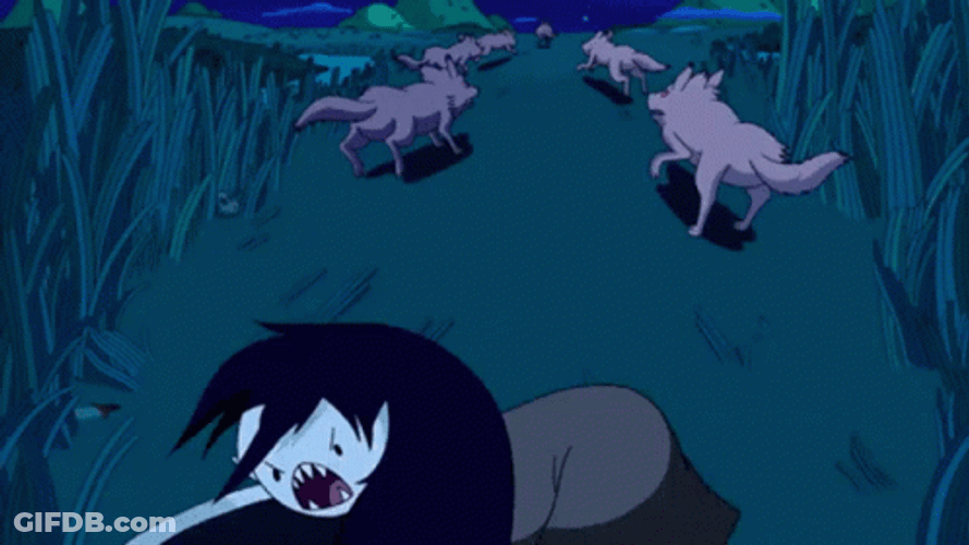 Akira Slide Adventure Time Marceline And Flynn GIF