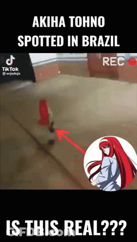 Akira Tohno Spotted In Brazil Is This Real GIF