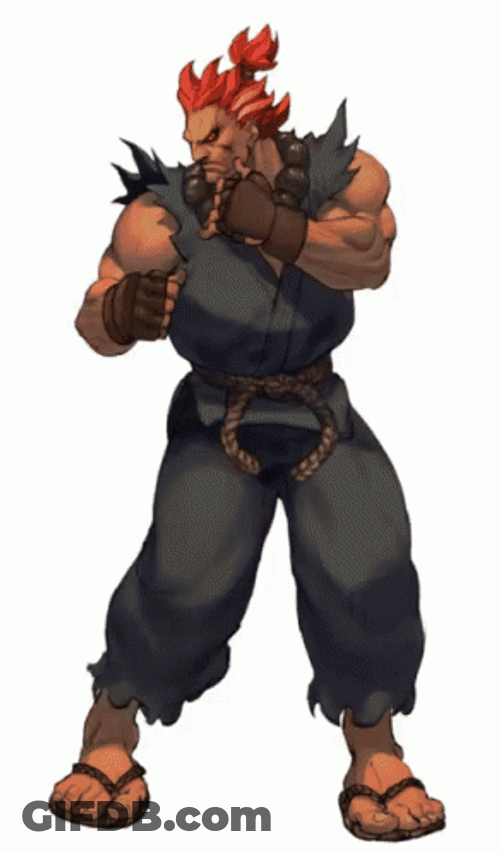 Akuma Ready To Fight GIF