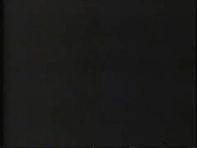 Al Capone Geraldo Rivera GIF