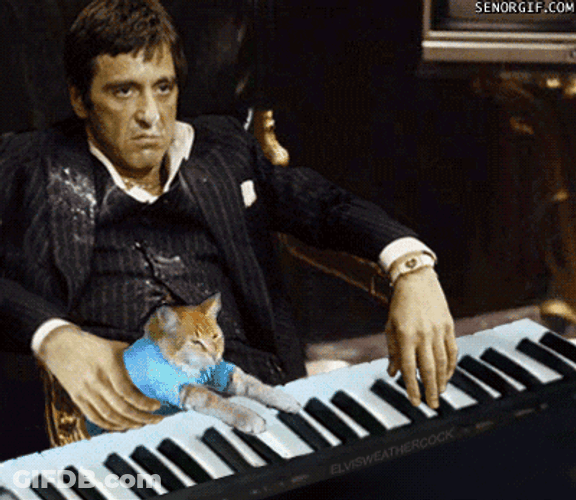 Al Pacino Helping Cat Piano GIF