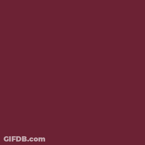 Alabama Needs You To Sign Up To Be A Poll Worker GIF