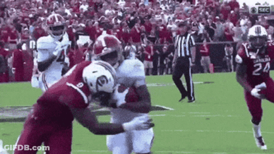 Alabama Roll Tide Football Game GIF