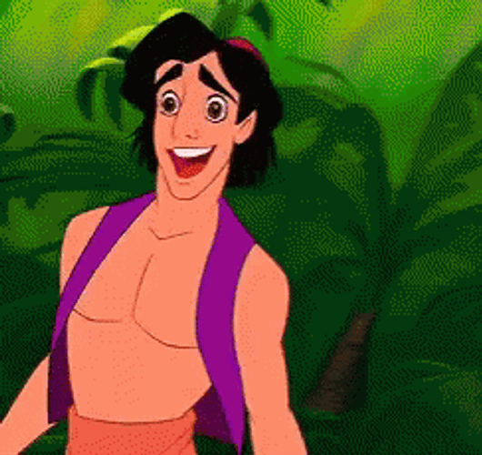 Aladdin In Love GIF