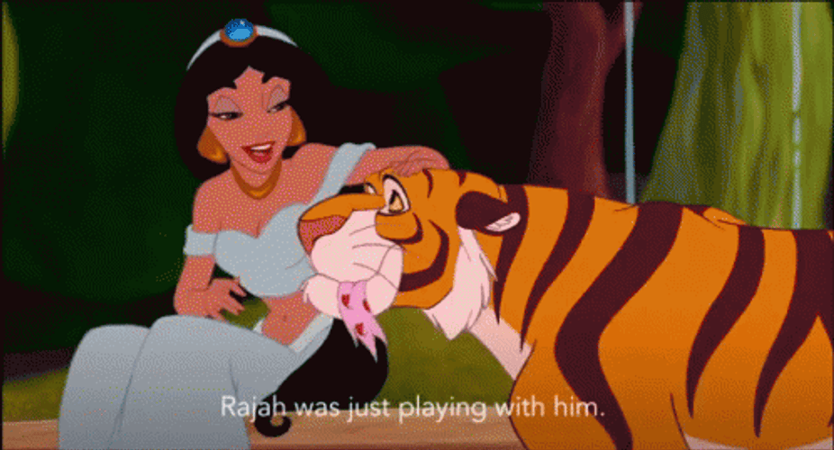 Aladdin Jasmine & Rajah GIF